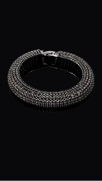 Picture of Online Shopping Americas & Asia Platinum Plated Bracelets