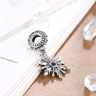 Picture of  Snowflake Small Charms & Beads 3LK053898