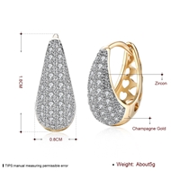 Picture of Sparkling Casual Luxury Small Hoop Earrings