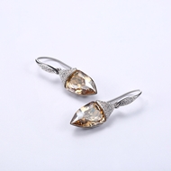 Picture of Casual Medium Dangle Earrings with Fast Delivery