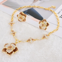 Show details for Zinc Alloy Casual Necklace and Earring Set from Certified Factory