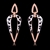 Picture of Irresistible Black Zinc Alloy Dangle Earrings As a Gift