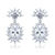 Picture of Fashionable Big Cubic Zirconia Dangle Earrings Online