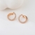 Picture of Delicate Cubic Zirconia Rose Gold Plated Stud Earrings