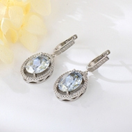 Show details for Nice Swarovski Element Platinum Plated Hoop Earrings with Fast Shipping