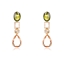 Show details for Sparkling Big Gold Plated Dangle Earrings