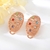 Picture of Bling Big Colorful Big Stud Earrings