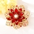 Picture of Stylish Flowers & Plants Red Brooche