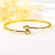 Picture of Fashion Snake Fashion Bangle with Full Guarantee